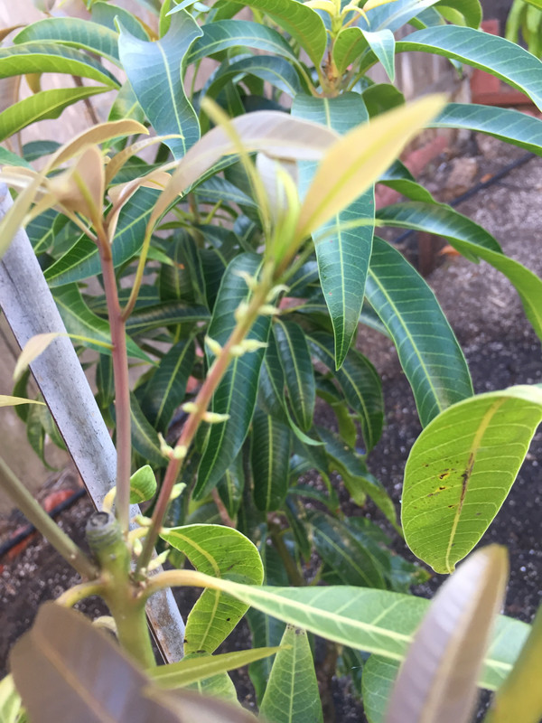 CAF2C6FE-C676-4E4E-955F-5F3CB75CD551