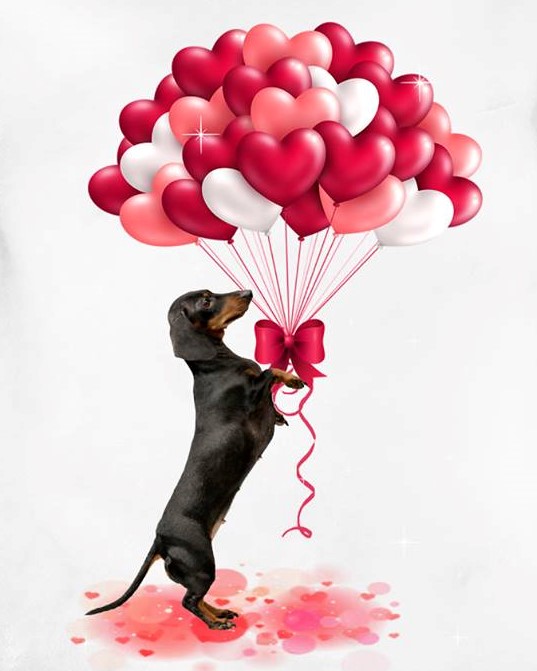 [Image: 50973608-337011190228613-8957122641899028480-n.jpg]