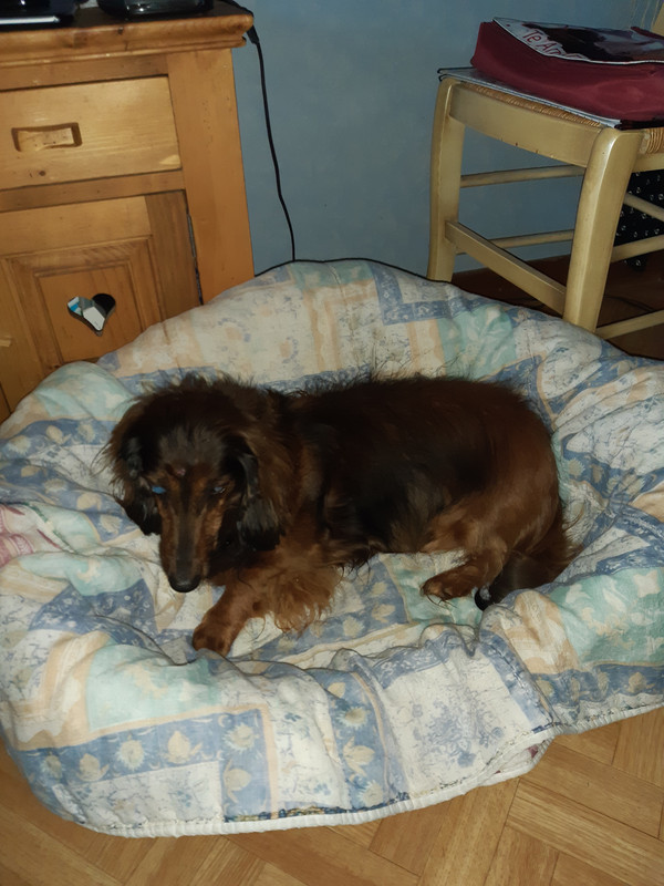 [Image: 20210803-192313.jpg]