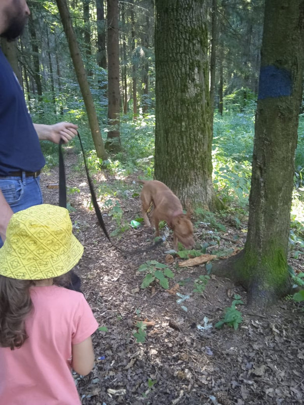 35D2946E-DA23-49BA-8AE6-6A3EE688D8A8