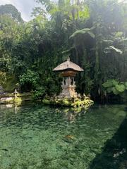 6 Aviones, 3 barcos y 2 trenes, empezando en Estambul y terminando Kuala Lump - Blogs de Indonesia - TERCERA PARADA: BALI (10)