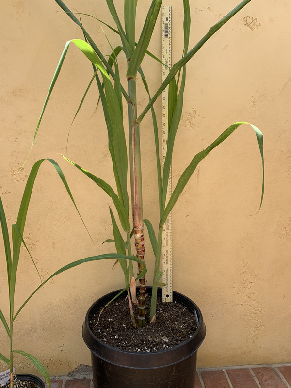 BDCF2353-ED56-4A27-949E-2512D532B607