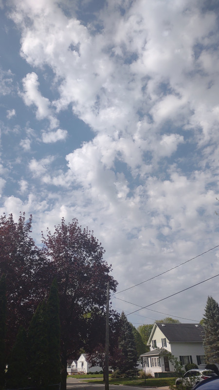 IMG_20250510_101203904