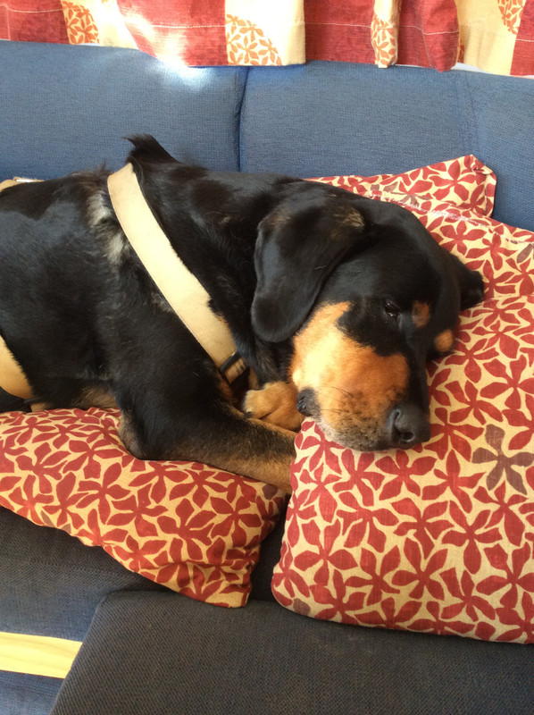 434232CE-575C-483B-93CB-1C10866A5F3C