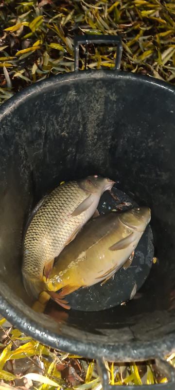 CD4215CE-B897-45B1-937A-86620A03EF92