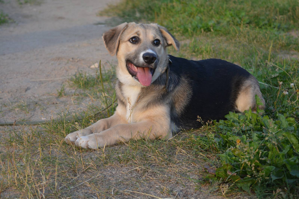 изображение_viber_2022-07-27_17-07-49-690