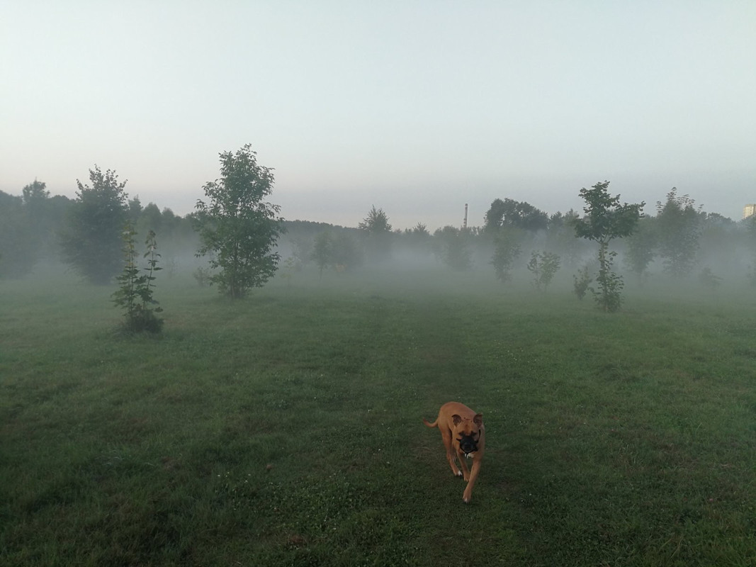 662E87A1-35FF-46C4-BAF8-3897C0639749