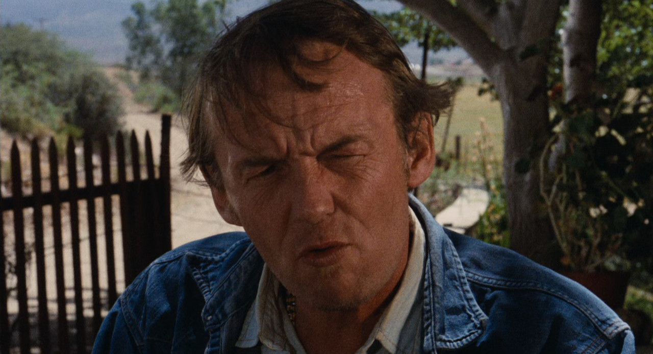 Easy Rider 1969 Criterion (1080p x265 10bit Tigole).mkv_snapshot