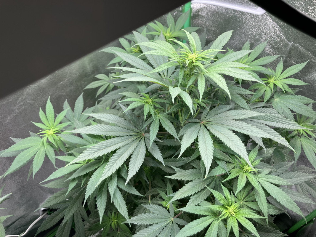 9C5F9668-47D3-4B19-8E66-4863A9D542EF