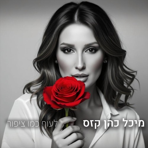 תמונה