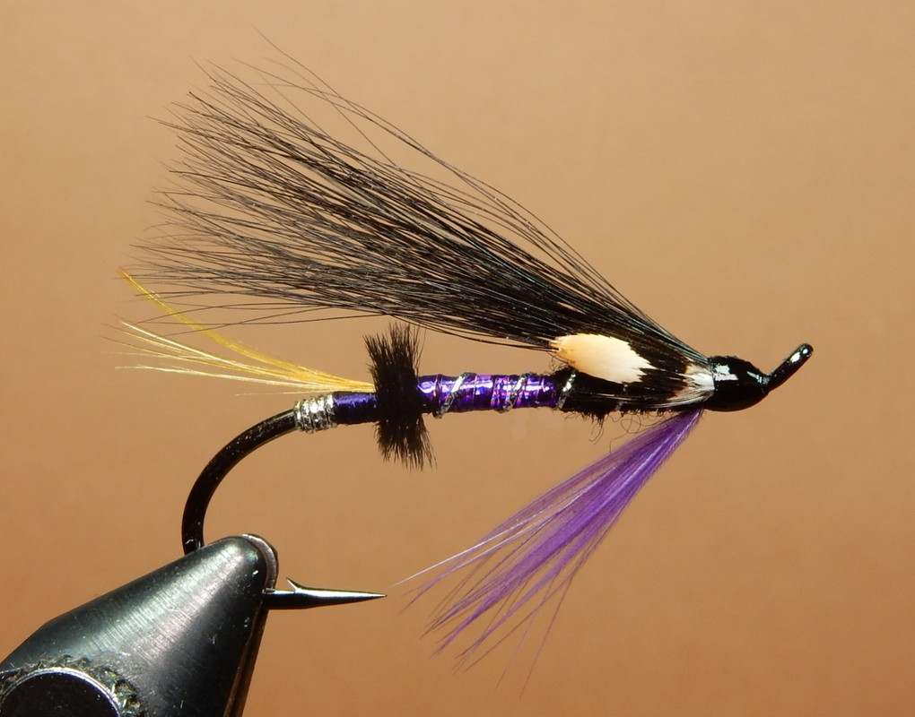 Purple-Passion-1080.jpg