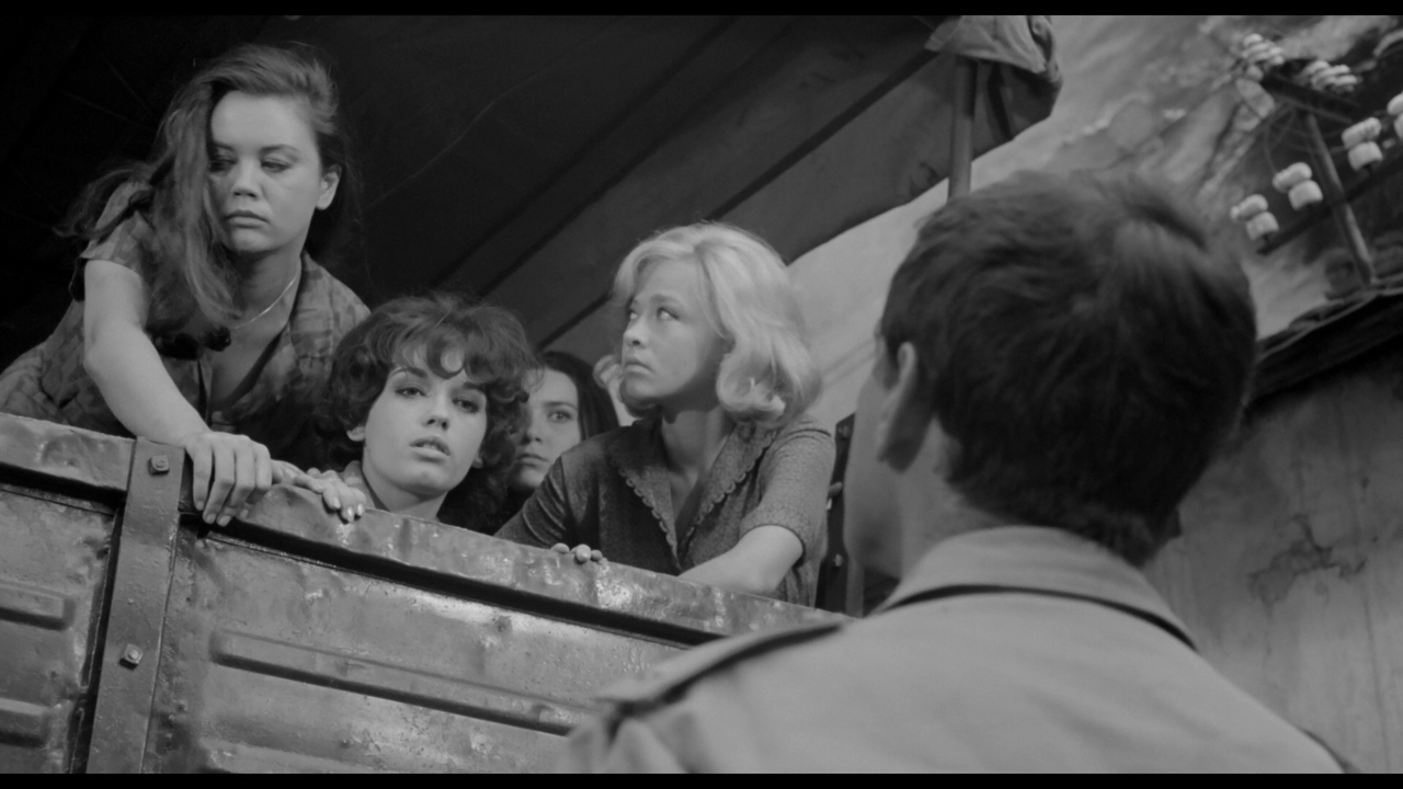 vlcsnap-2023-05-20-17h27m48s530