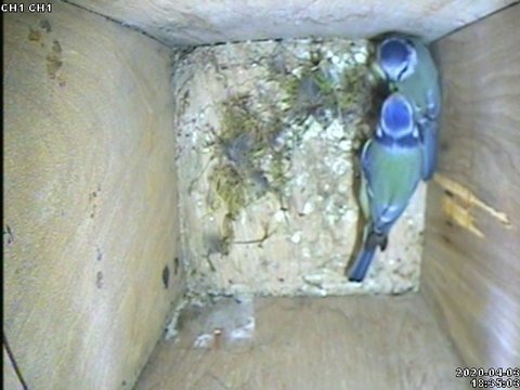 1AF96DA2-C985-441D-9A47-E335C2DA7AE5