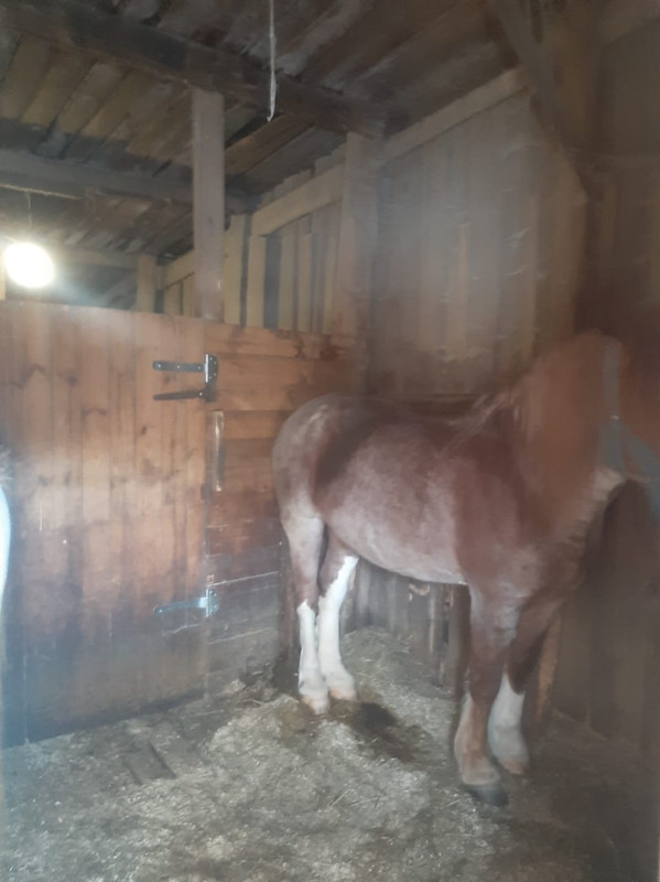 WhatsApp Image 2021-03-10 at 09.27.16 (3)