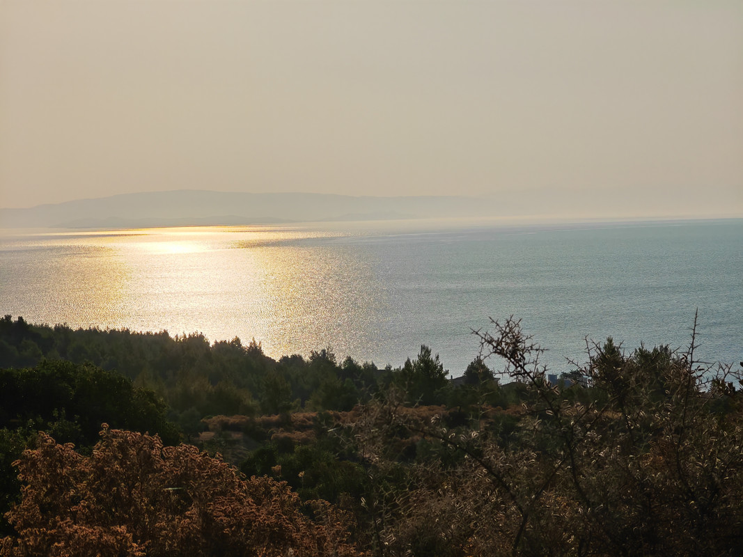 IMG_20230816_074742