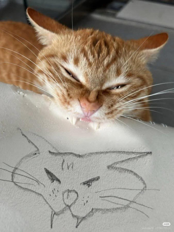 cateatspicture.jpg