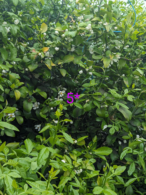 PXL_20240506_171800436~2