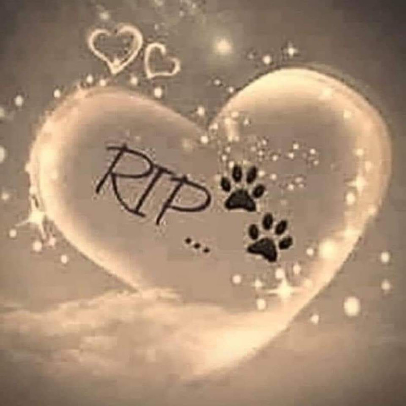 [Image: FB-IMG-1693501504970.jpg]