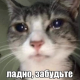 https://i.postimg.cc/1zBY1FH5/7.png