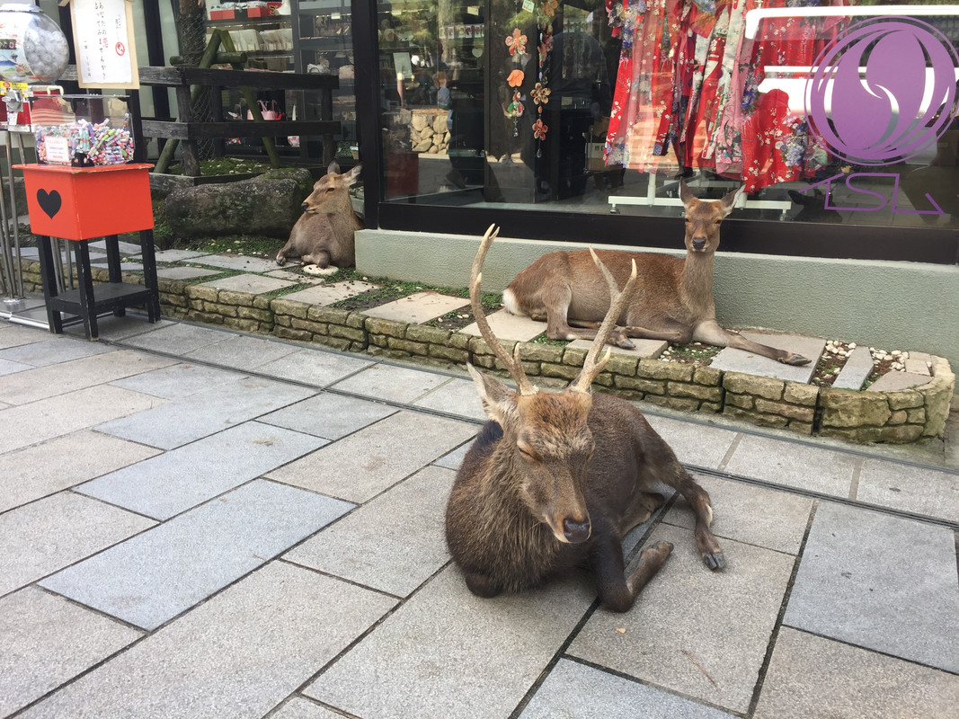 7167EC55-1110-43BD-B290-FB96653B5BE4