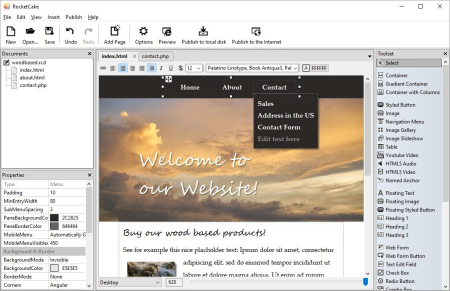 Ambiera RocketCake Professional 4.5 Multilingual
