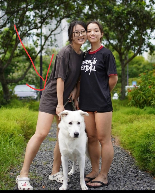 Asian Scandal Net (2)