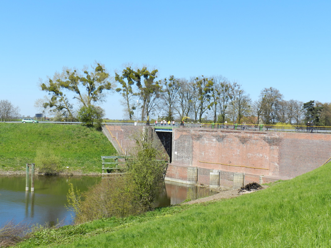 13.09 - DSCN0234 (Milady)