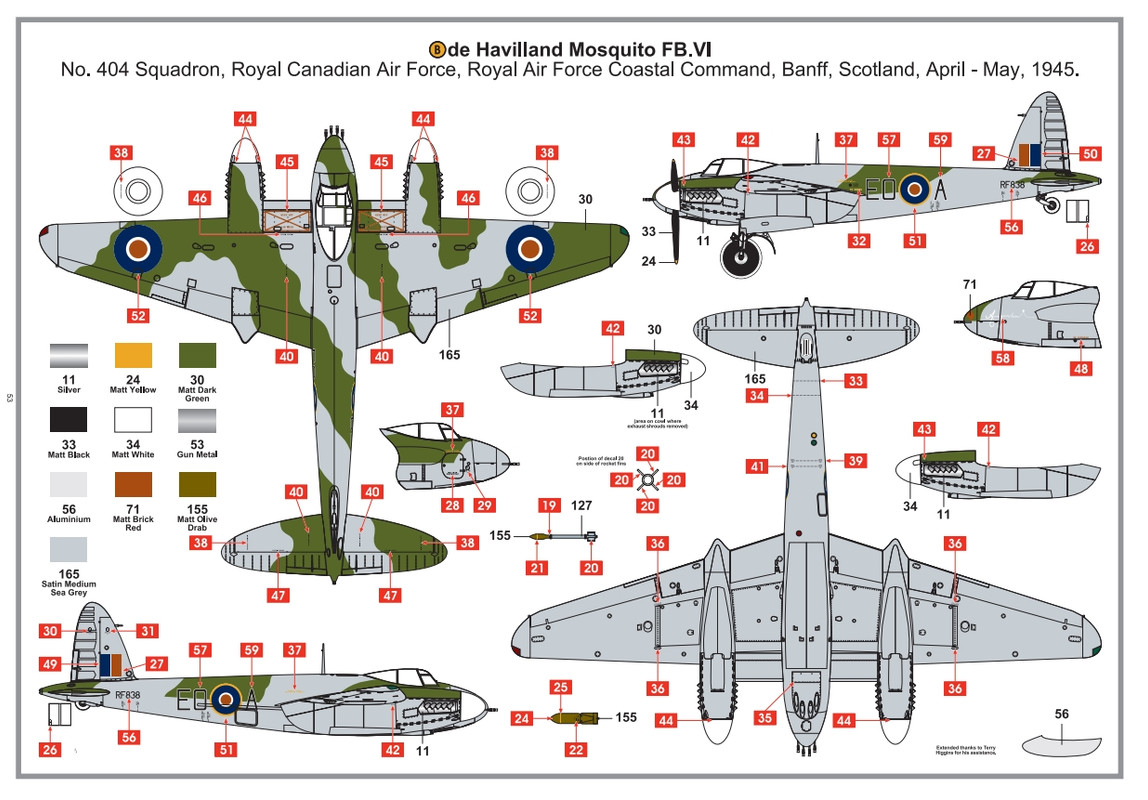 mosquito