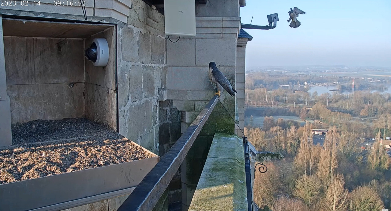 Oudenaarde. (Jay en Ula.) Bria en Grey - Pagina 2 2023-02-14-093634