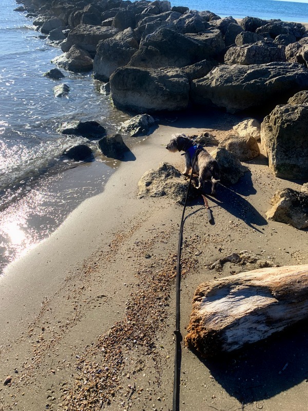 [Image: IMG-1388.jpg]