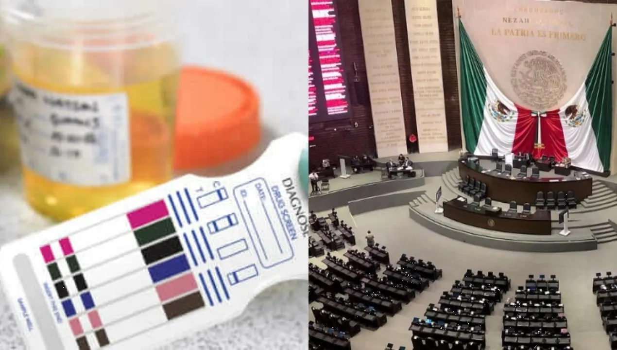 Presupuesto 2023: Piden antidoping y alcoholímetro para diputados del PAN