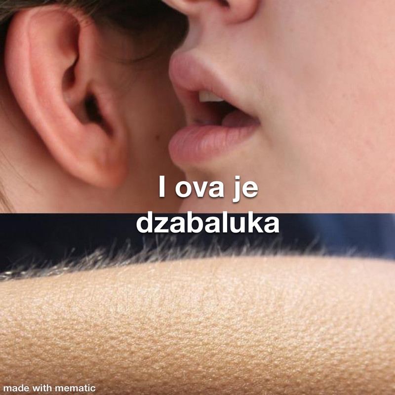 slika