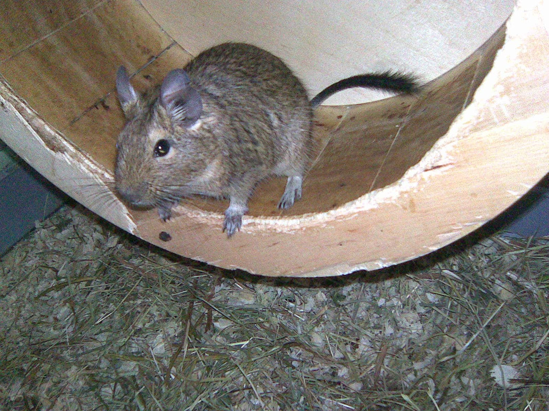 Image070