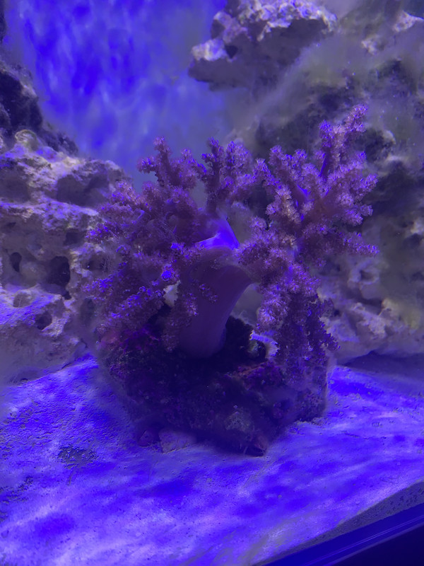 03034829-E0D4-4B73-9660-C681D6EBD8D7