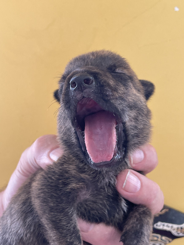 254552FE-93D3-4194-91F7-8EFDC2453FA1