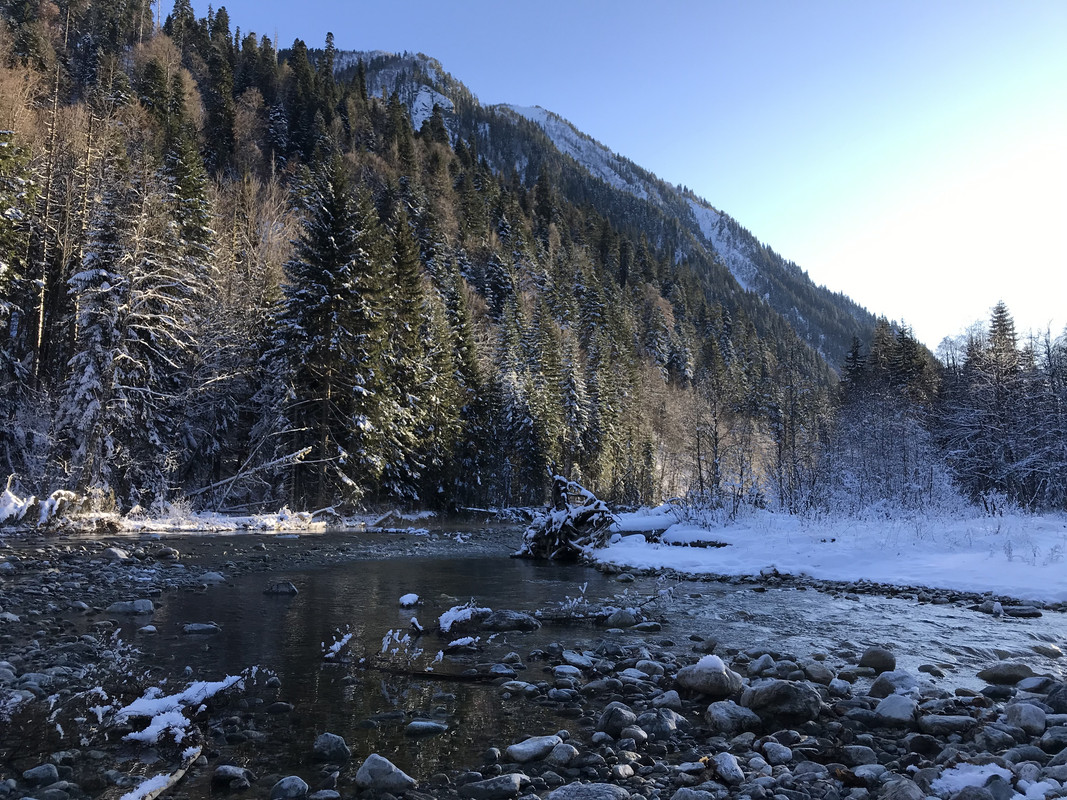 A3119002-E32F-433D-98E7-B15347843C09