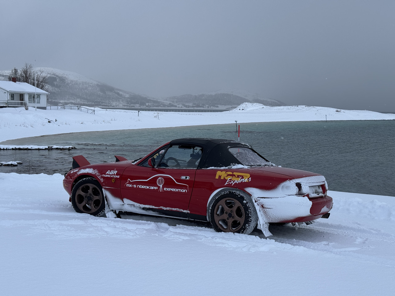 [Immagine: IMG-8305.jpg]