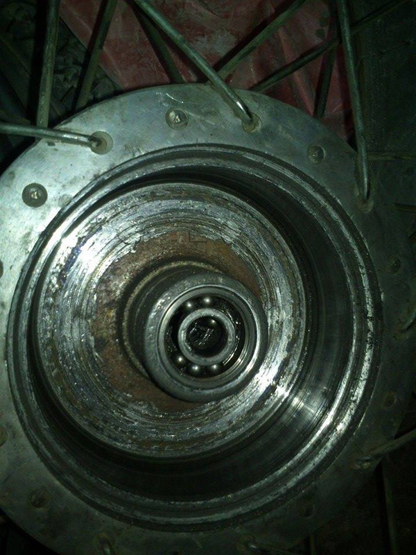 11004317_10204631313396887_2134767862_n