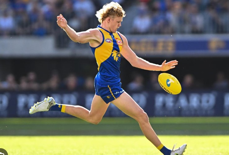 AFL Players Salary 2023 How Much Make for Season?