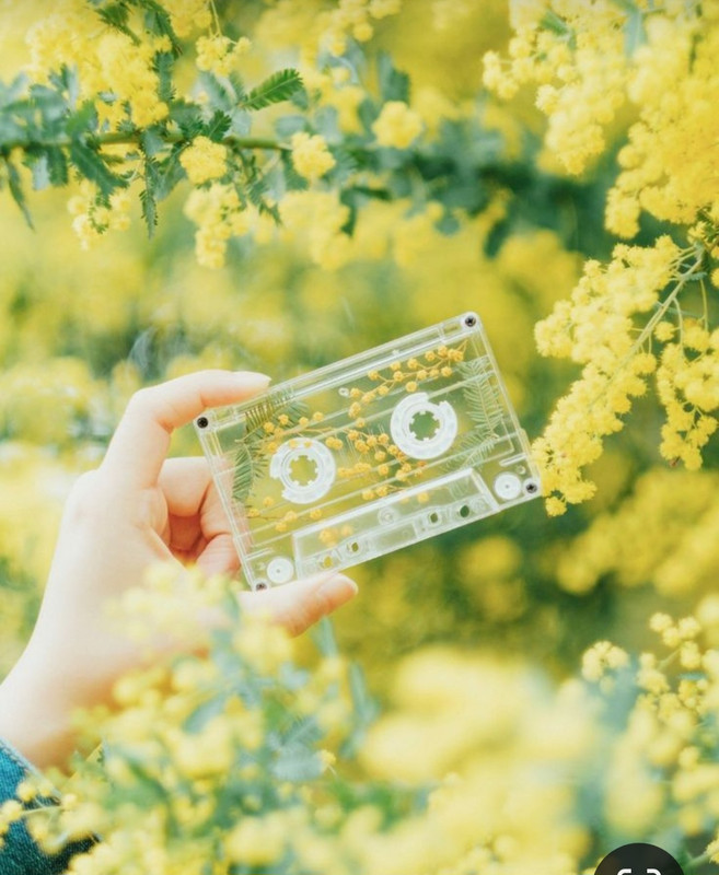 Screenshot_20240330_233835_Pinterest