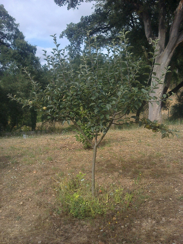 foto0143