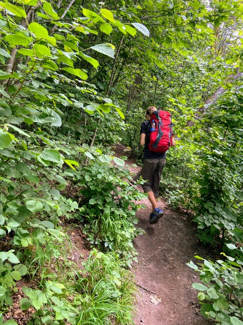 0626-D0-D0-773-B-4-D73-9-BA5-3471-EA33-A