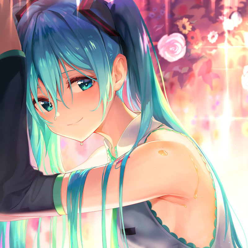 hatsune-miku-vocaloid-drawn-by-maeshimashi-d14b05d737689f653646ac37729b7173-1