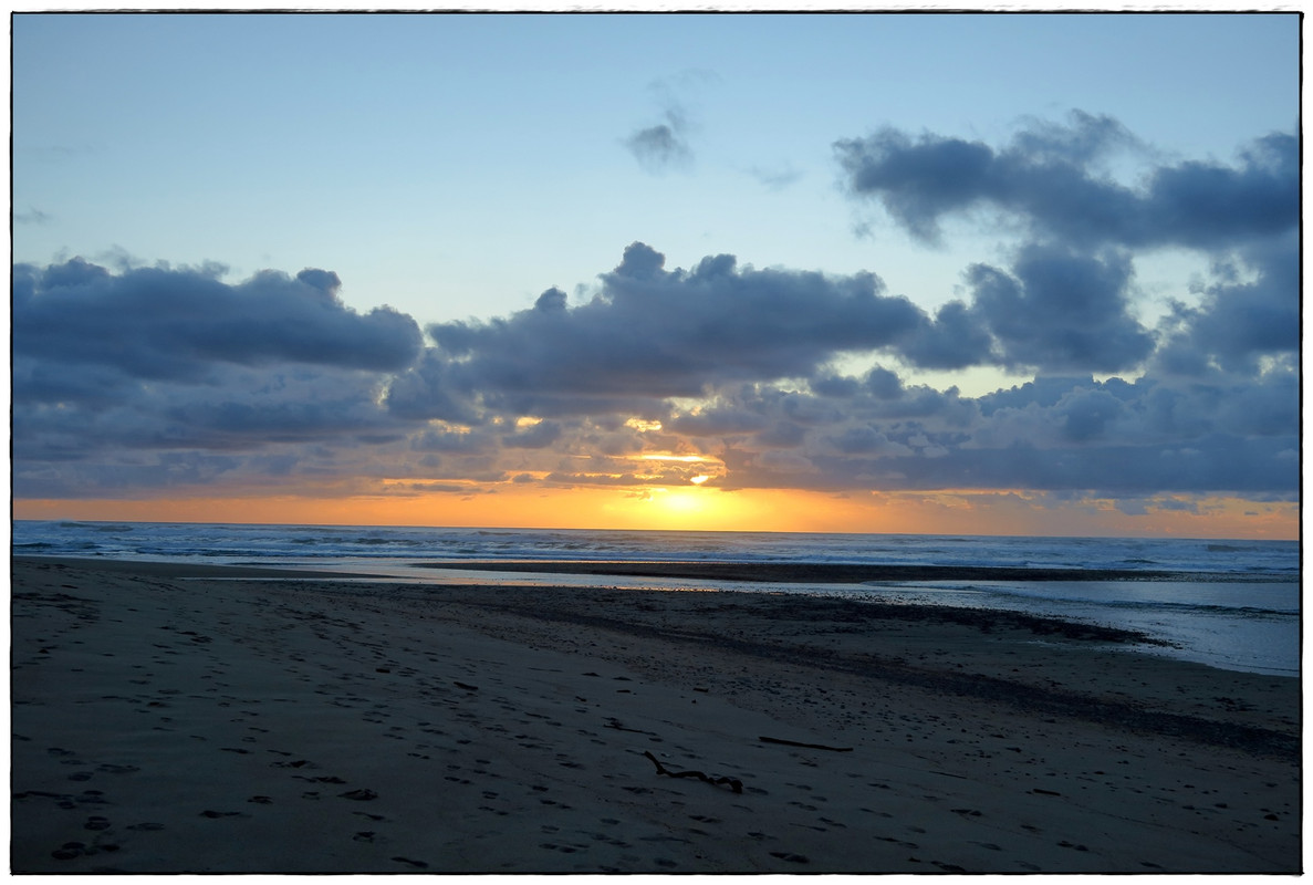 Escapadas y rutas por la Nueva Zelanda menos conocida - Blogs de Nueva Zelanda - Kahurangi NP: Heaphy Track (Navidad 2020, III) (41)