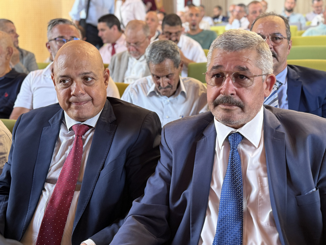 IMG-4656