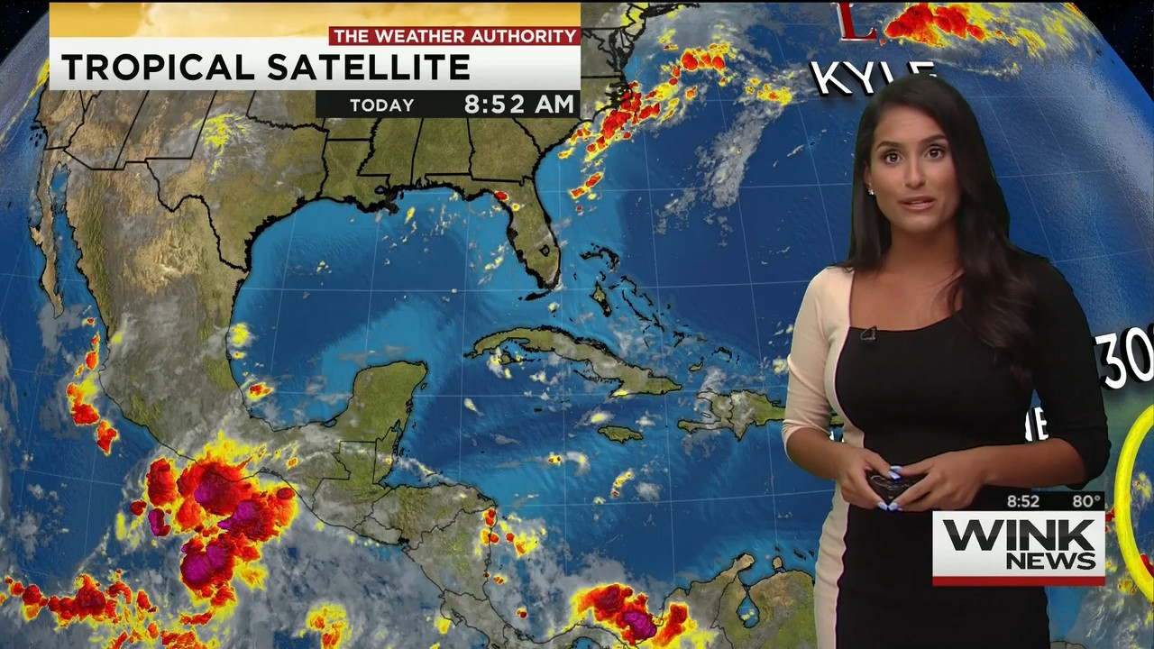 08.16 - 11.00.00 - WINK News @ 6 00AM Sunday..ts_snapshot_00.53.53.682