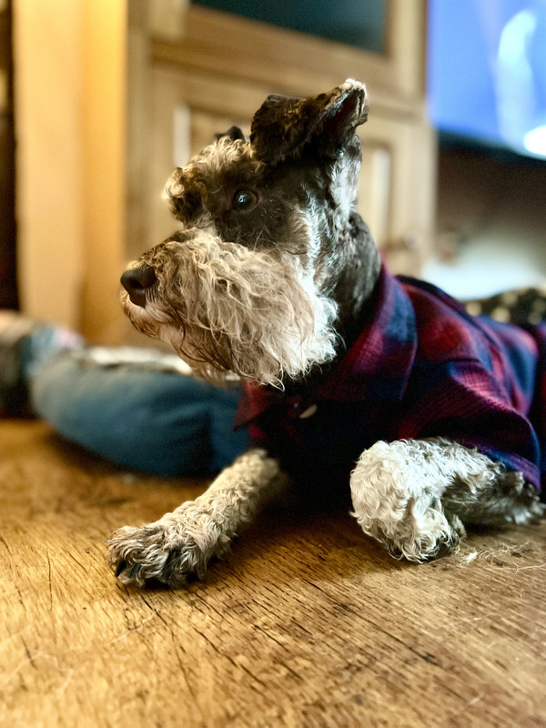 60B6F1F1-7B9A-4B3E-B59D-C2C4D150D362