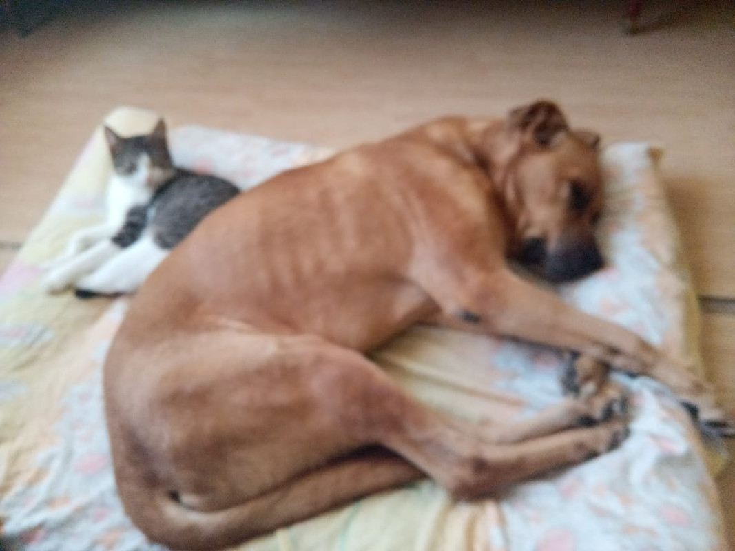 940DBC1D-F071-42A5-8504-5EC6333A8E6A