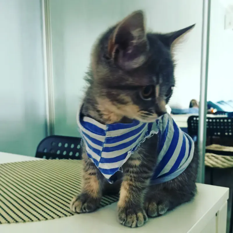 IMG_20230802_073602_129