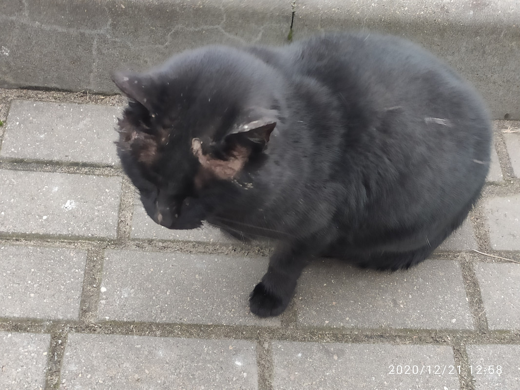 IMG_20201221_125851 (1)